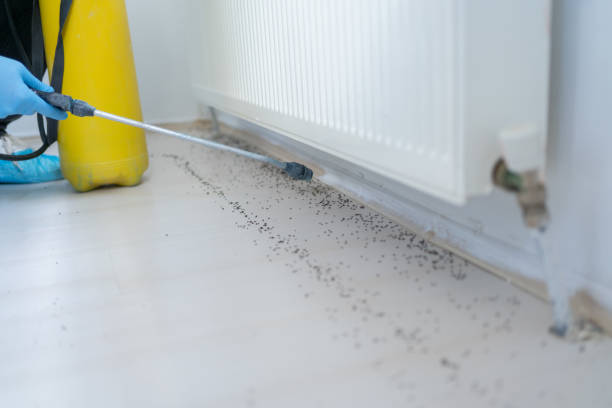 Best Pest Control Near Me  in Morrow, OH