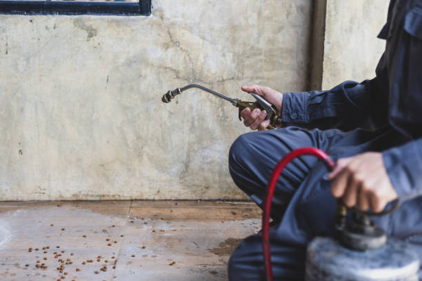 Best Affordable Pest Control Services  in Morrow, OH